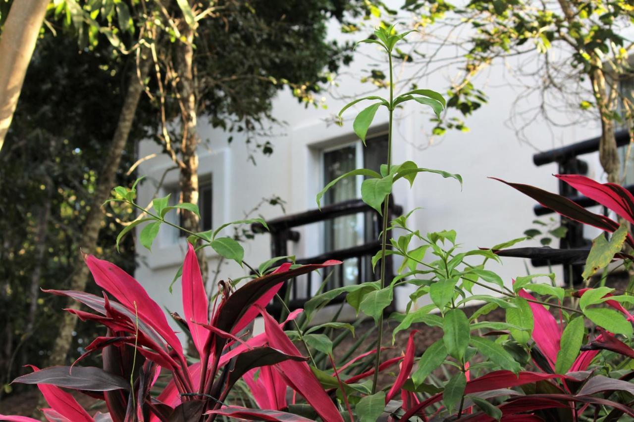 Lunah Xcacel Suites Chemuyil エクステリア 写真