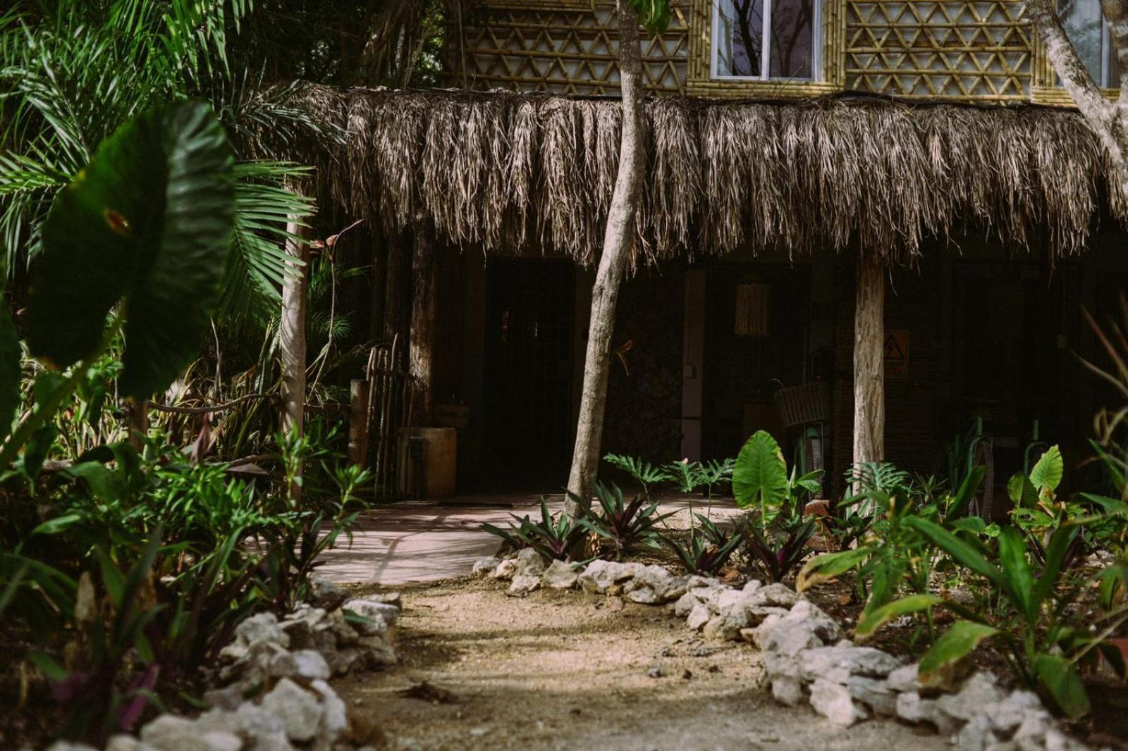 Lunah Xcacel Suites Chemuyil エクステリア 写真